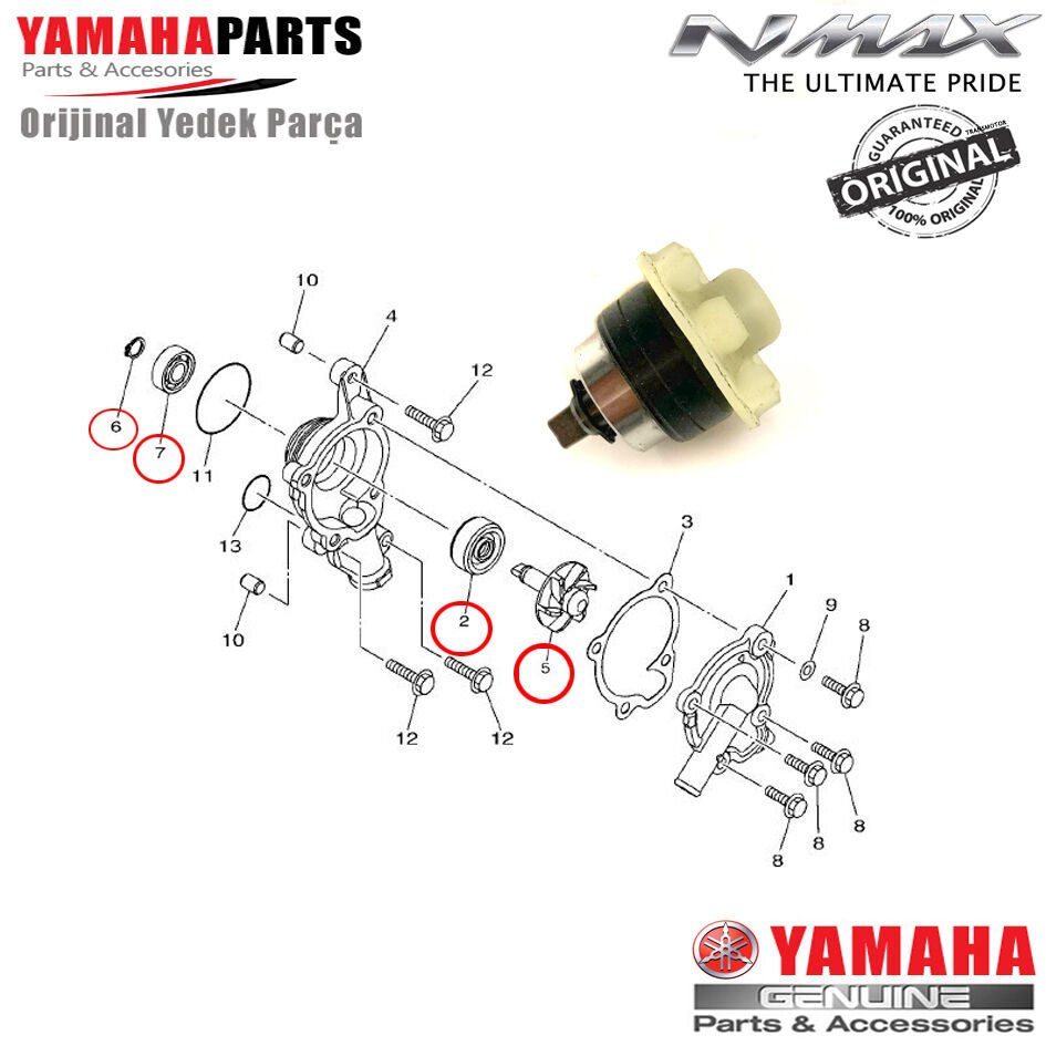 Nmax 125/155 2015-2020 Orijinal Devir Daim Su Pompa Seti